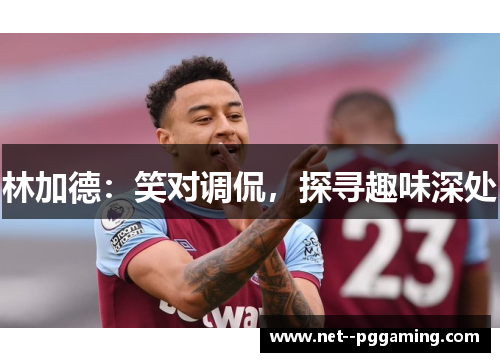 林加德：笑对调侃，探寻趣味深处