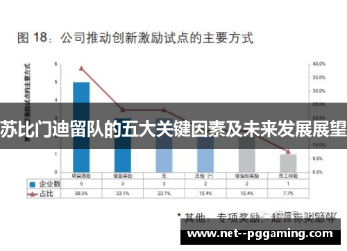 苏比门迪留队的五大关键因素及未来发展展望 苏比门迪留队的五大关键因素及未来发展展望