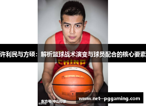 许利民与方硕：解析篮球战术演变与球员配合的核心要素