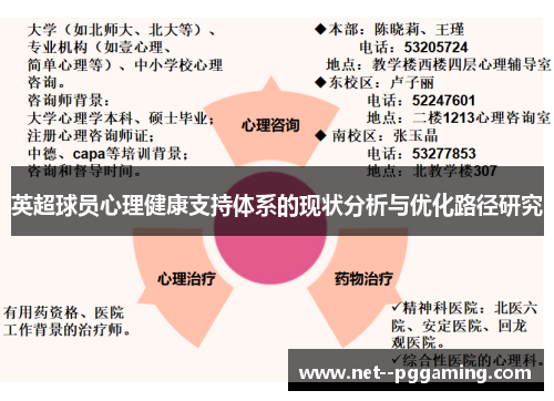 英超球员心理健康支持体系的现状分析与优化路径研究