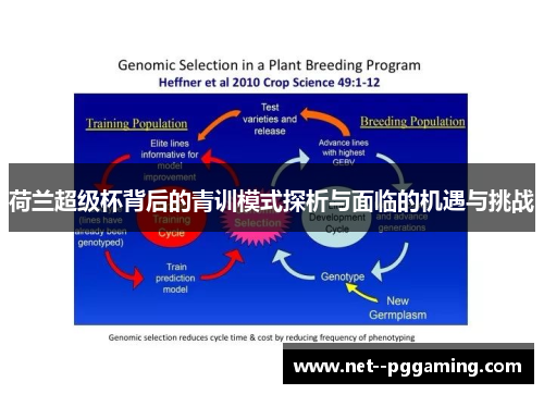 荷兰超级杯背后的青训模式探析与面临的机遇与挑战