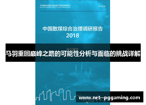 马羽重回巅峰之路的可能性分析与面临的挑战详解