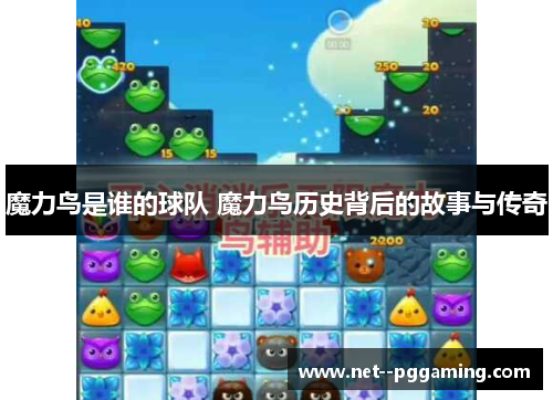 魔力鸟是谁的球队 魔力鸟历史背后的故事与传奇